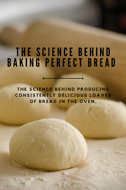 sciences behind bread