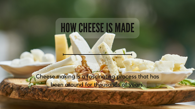 How Cheese Is made